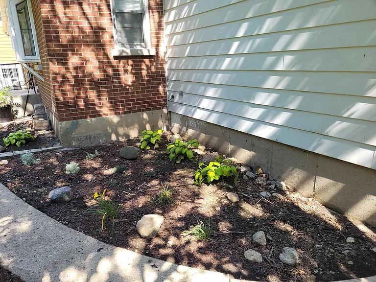 Backyard Garden