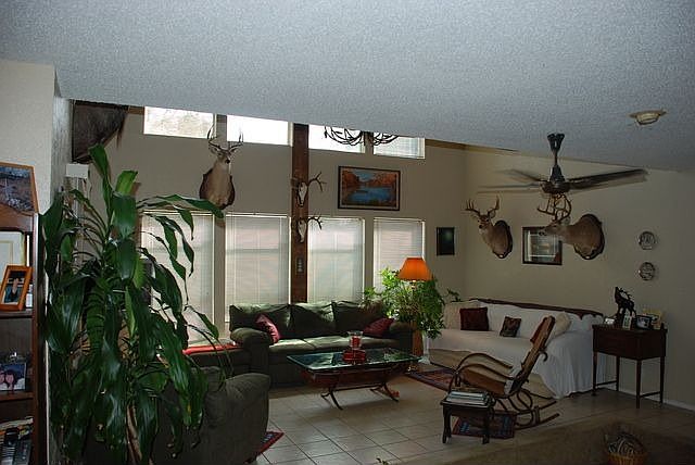 2nd image of 3225 Bimini Dr