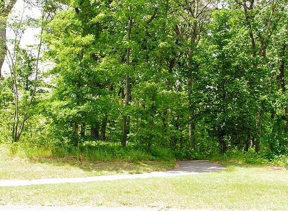 Wooded views across the street