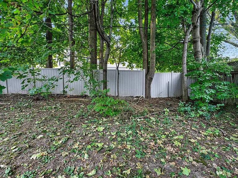 39 Reiner Rd #UPPER — Photo 7