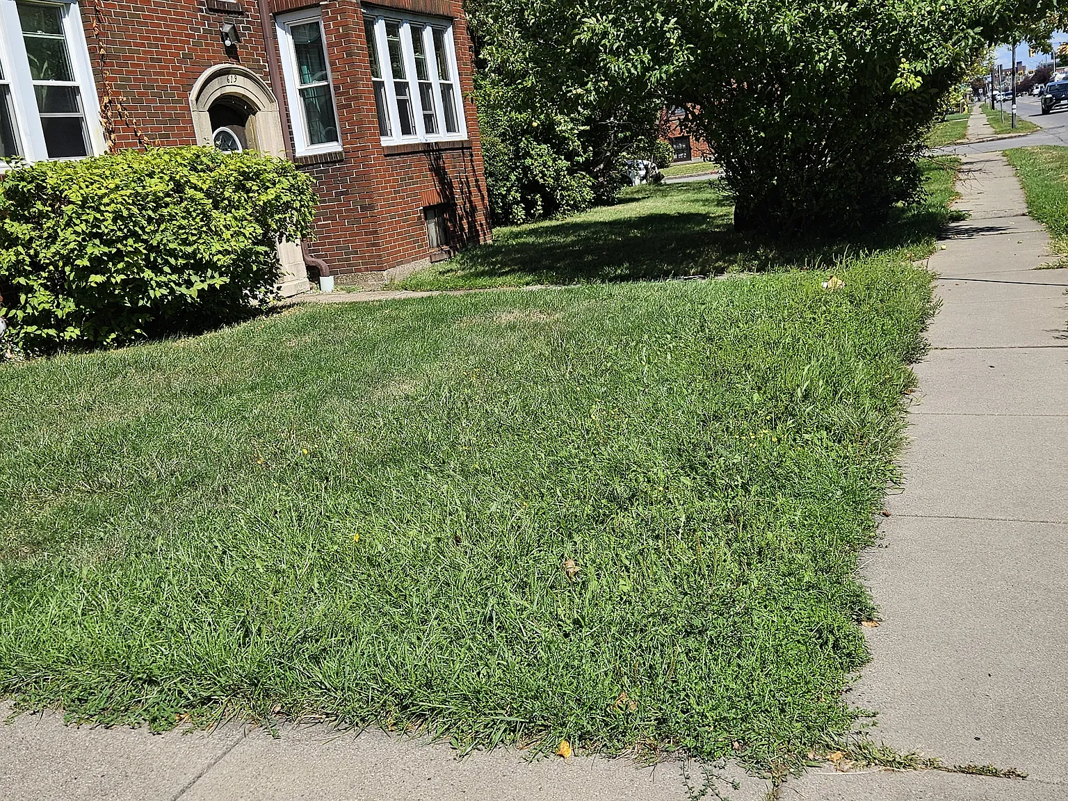 2 bed, 1100 sqft, $1,280 — Photo 1