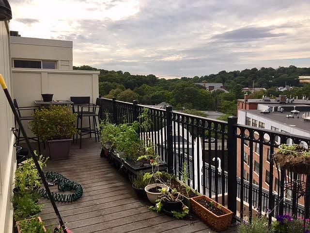 1st image of 321 Boylston St #602