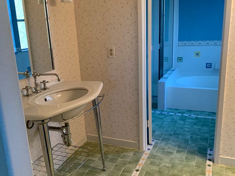 Master bathroom with shower and tub.