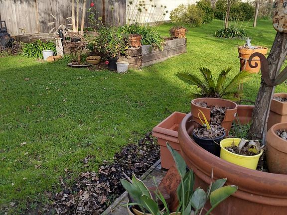 4th image of 2214 Stony Point Road