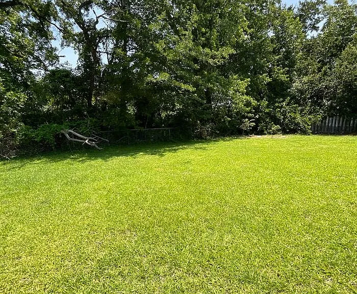 243 Edison Ave — Photo 18