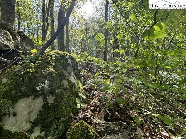 TBD Rocky Mountain Road, Boone, NC 28607
