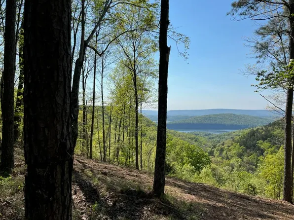 1755 Birds Eye Way #1072, Guild, TN 37340