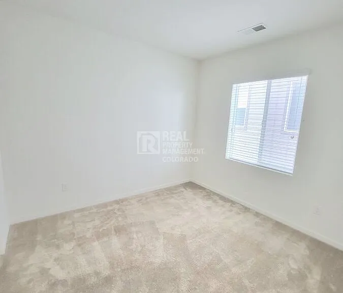 4650 Basalt Ridge Cir — Photo 20