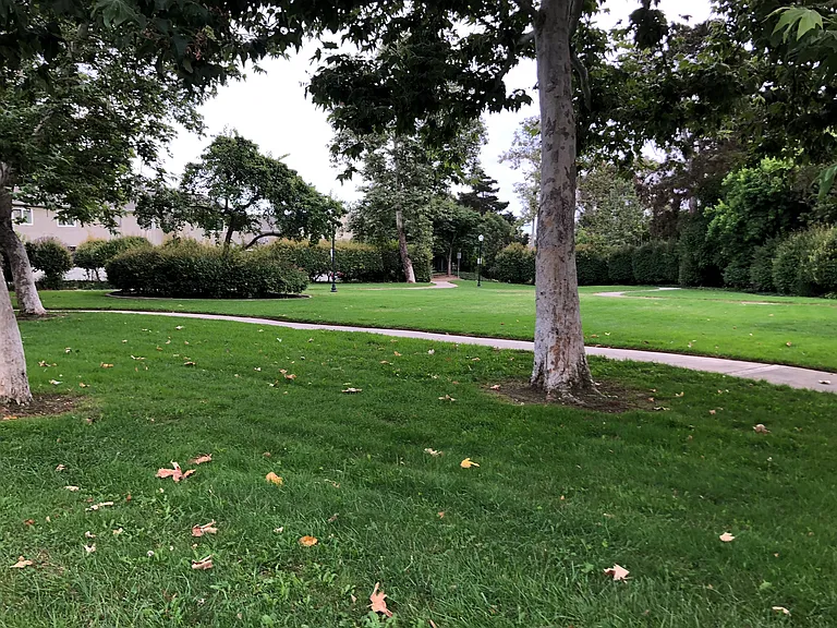 Nearby Greenbelt