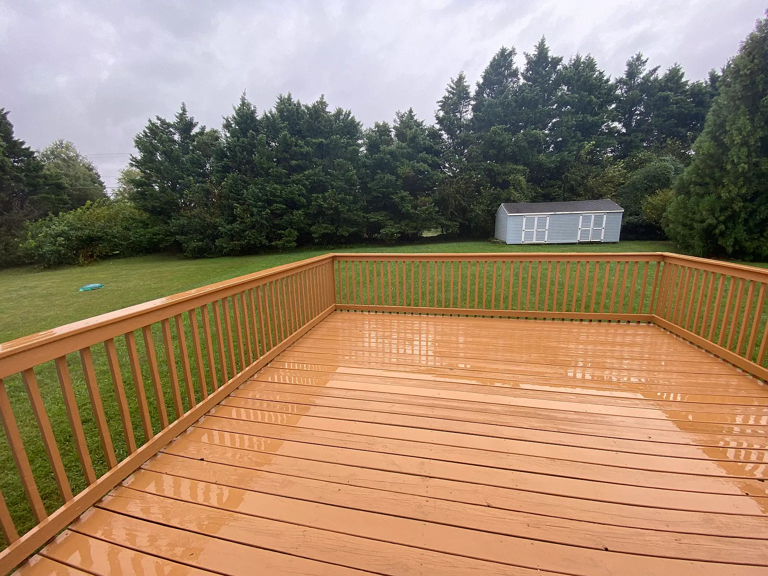 29441 Petunia Dr — Photo 4