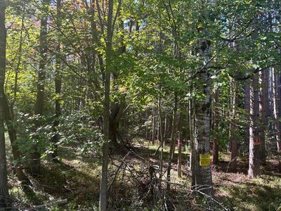 6195 110th Ave, Stanwood, MI, 49346