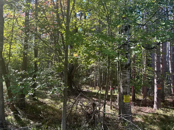 6195 110th Ave, Stanwood, MI 49346