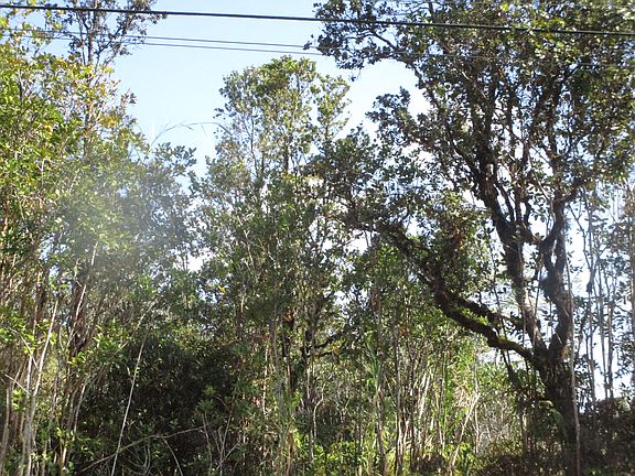 3rd image of Lehua St Lot 6859