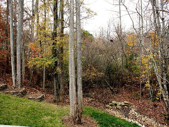 Small private stream/pond