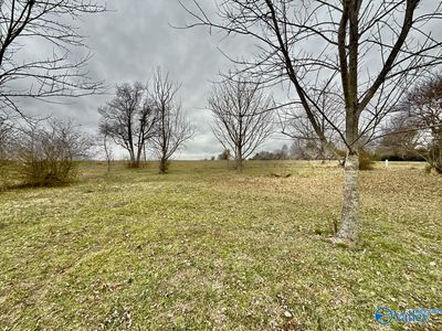 LOT 9 E Limestone Rd, Toney, AL, 35773