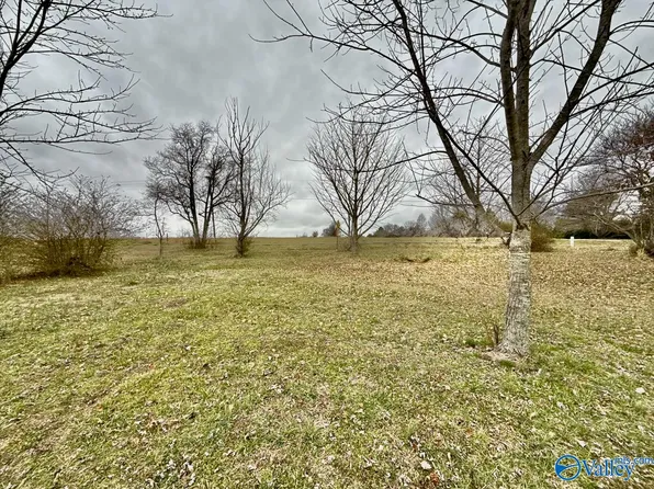 LOT 9 E Limestone Rd, Toney, AL 35773