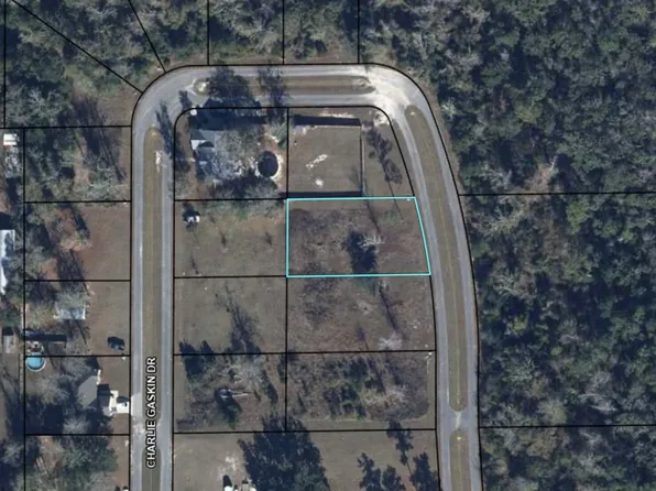 LOT 23 Charlie Gaskin Dr, Wewahitchka, FL 32465