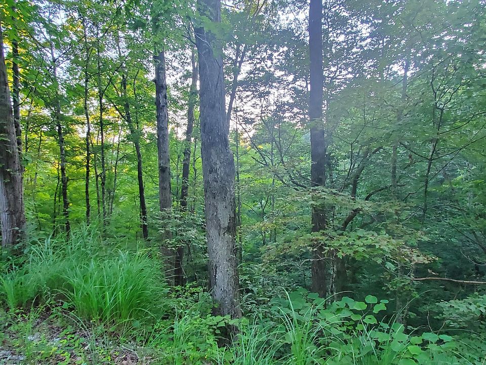 1st image of 0 Dillon Ln Lot 37