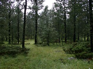 21437 Woodville Ln, Lead, SD 57754