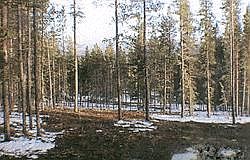 1st image of 338 GOLF COURSE Court #