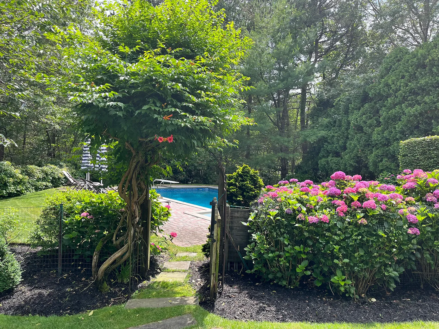 East Quogue 5 Bedroom | Gracious Outdoor Entertaining — Photo 2