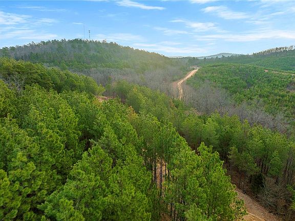 5th image of 55 Virginia Pine Pl Lot 55