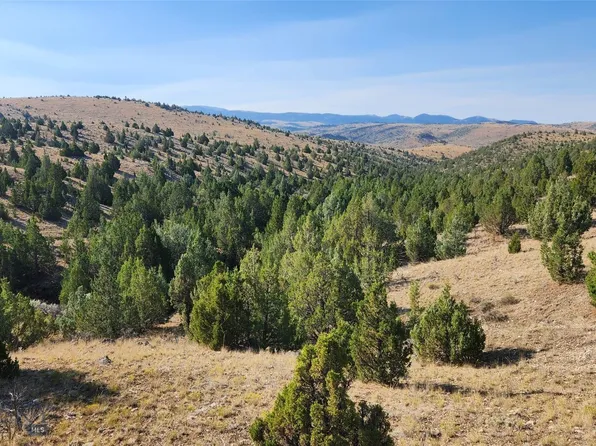 TRACT 7A Water Gulch, Virginia City, MT 59755