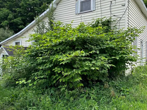 145 & 313 E Lake Street, Michigamme, MI 49861