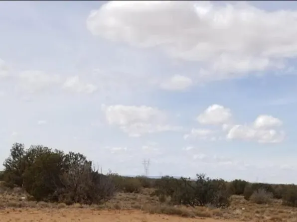 282 Chevelon Canyon Dr, Heber, AZ 85928