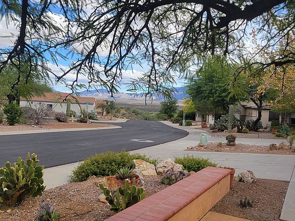 View from front patio under the mesquite tree