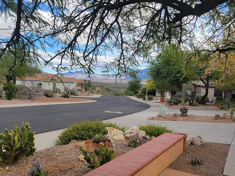 View from front patio under the mesquite tree