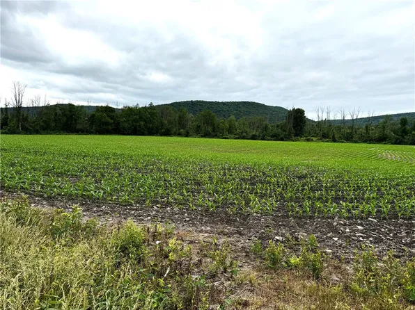 0 State Route 415, Campbell, NY 14821