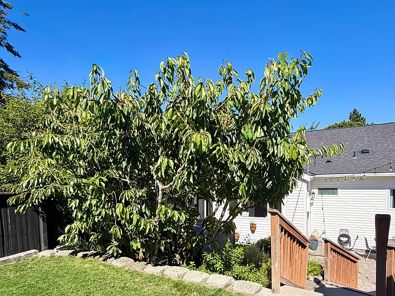 7329 32nd Ave SW — Photo 25