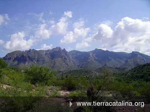 6460 N Tierra De Las Catalinas #116 — Photo 1