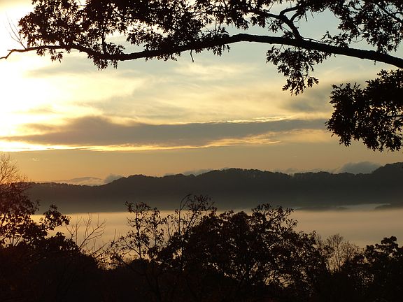 Morning view from back deck
