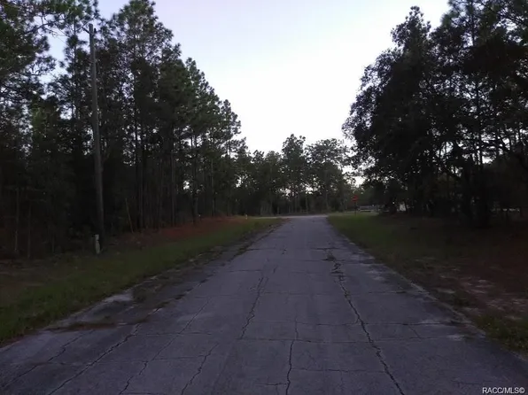 10947 N Tartan Ter, Citrus Springs, FL 34433