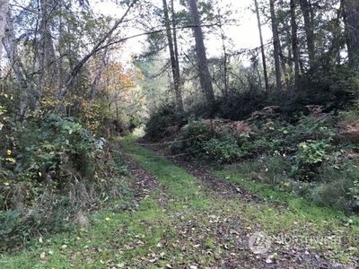 0 108th Street, Anderson Island, WA, 98303