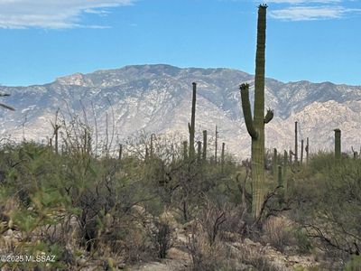 13935 N Como Dr, Tucson, AZ, 85755