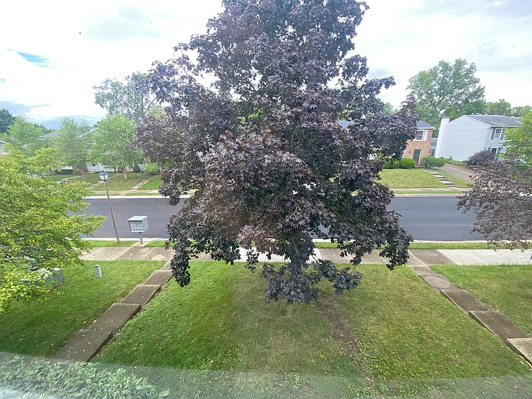 View from second bedroom