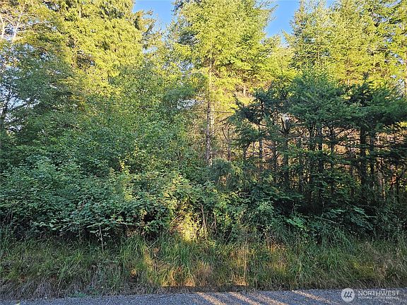 4th image of 236 Porter Creek Road