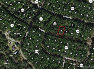 1311 E Urmey Pl, Citrus Springs, FL 34434