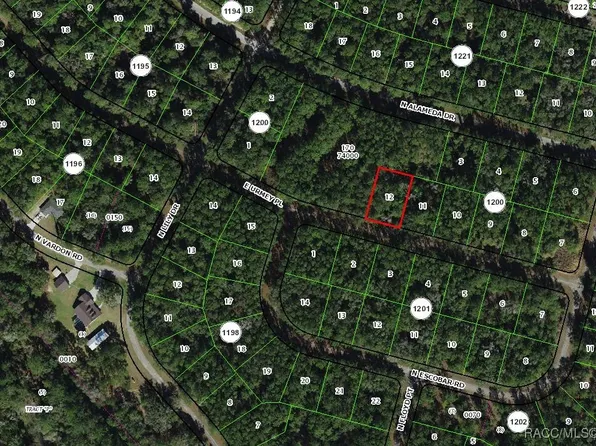 1311 E Urmey Pl, Citrus Springs, FL 34434