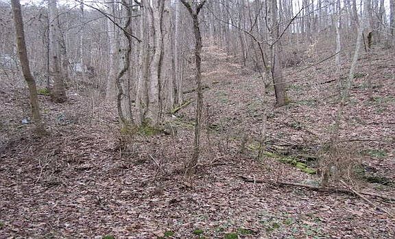 5th image of 208 Morgan Dr