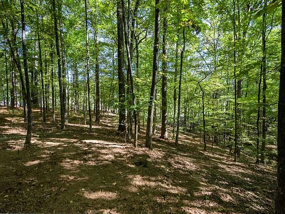 5th image of 1040 Anchor Bay Ln