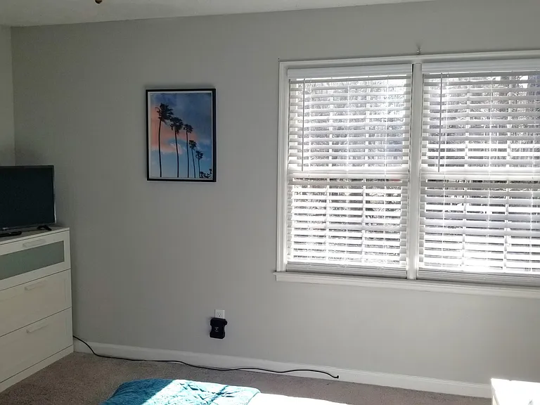 LG LCD TV with remote control in the Main Bedroom