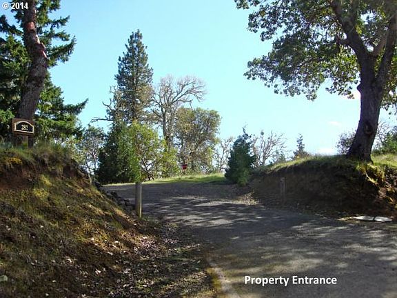 5th image of 282 Basswood Ln