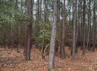 440 Bent Knee Rd, Keysville, GA 30816