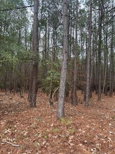 440 Bent Knee Rd, Keysville, GA, 30816