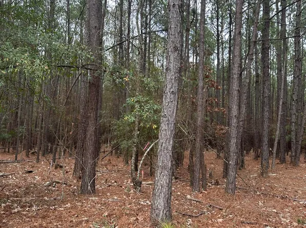 440 BENT KNEE Road, Keysville, GA 30816