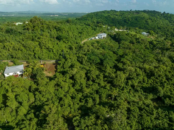 337 Grove Place PR, St. Croix, VI 00840